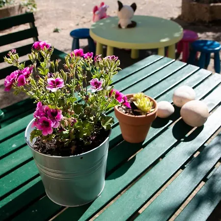 Casona De Rabanal-oca Holiday home *
